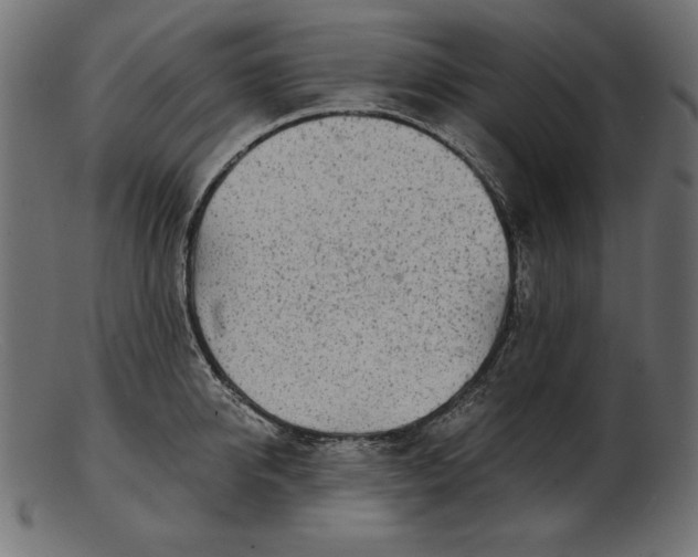 X0000103220950200809111505