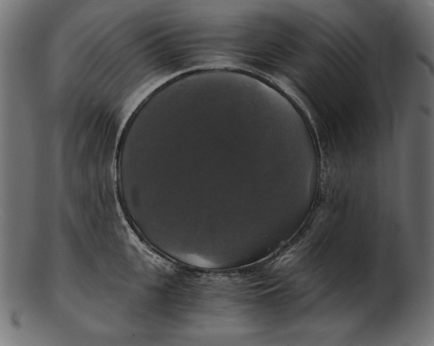 X0000103220951200809111505