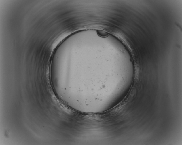 X0000103220952200809111505