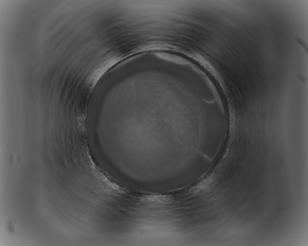 X0000103220953200809111505