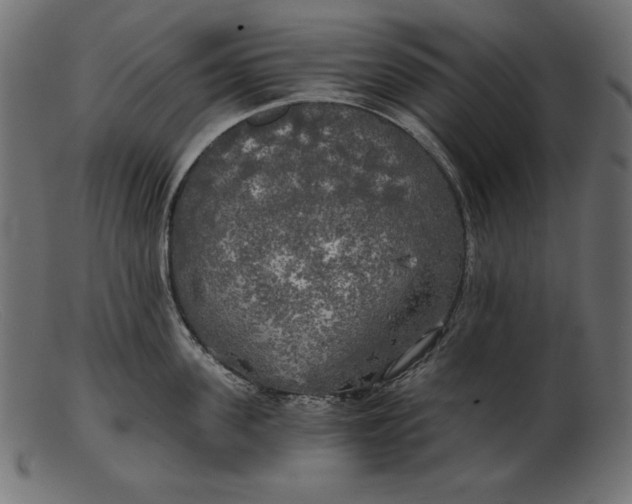 X0000103220955200809111505