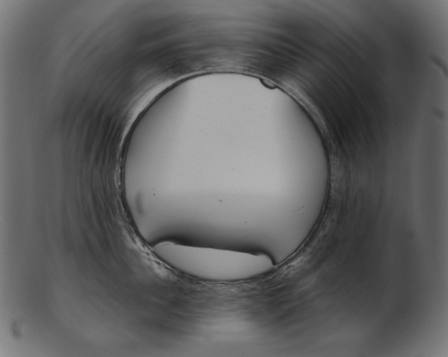 X0000103220956200809111505