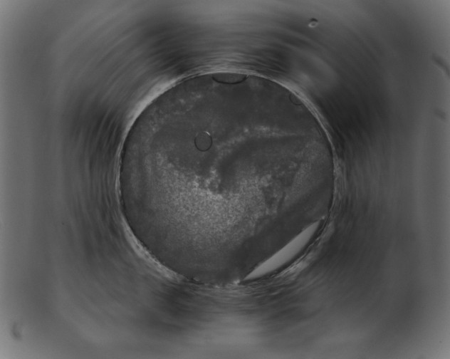 X0000103220957200809111505