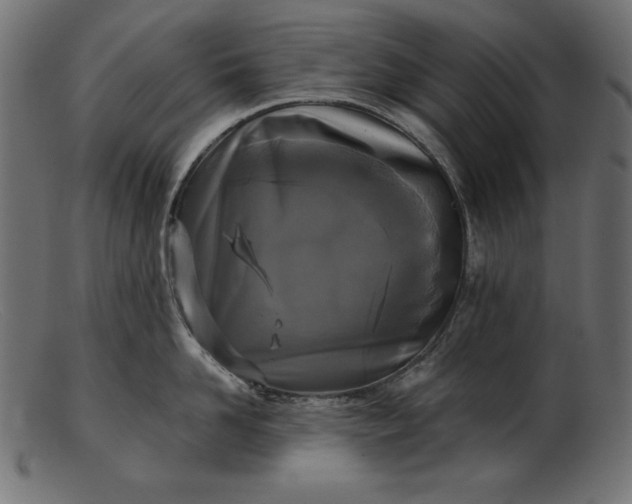 X0000103220958200809111505