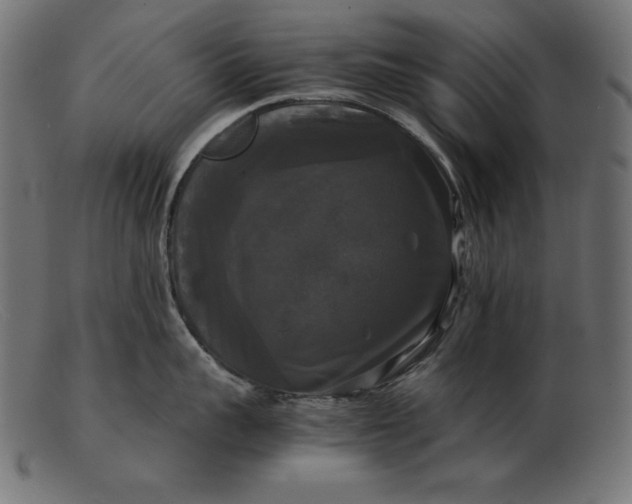 X0000103220959200809111505