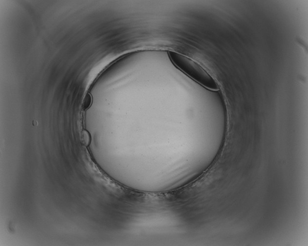 X0000103220960200809111505