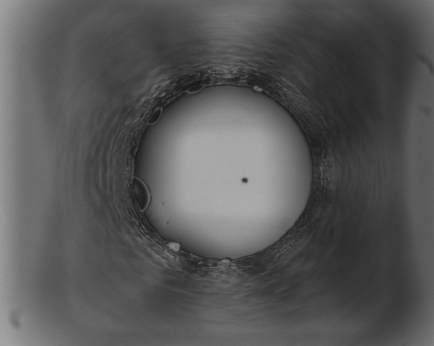 X0000103220961200809111504