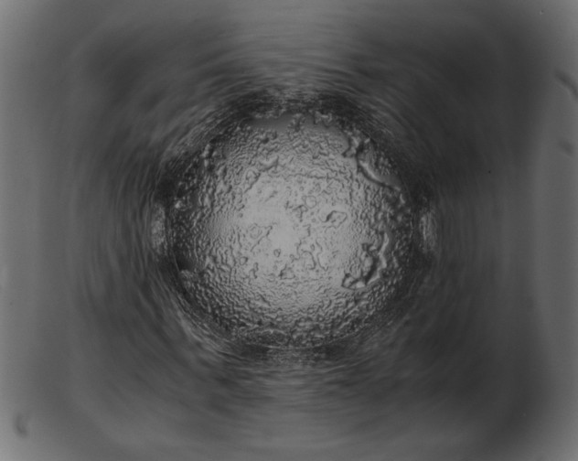 X0000103220963200809111504