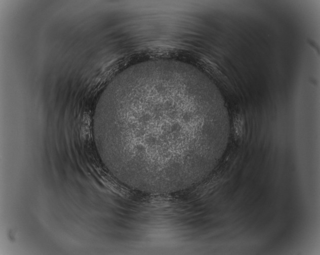 X0000103220964200809111504