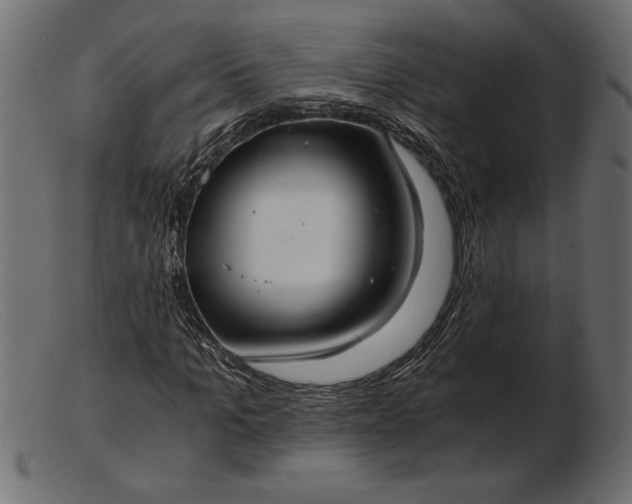 X0000103220965200809111504