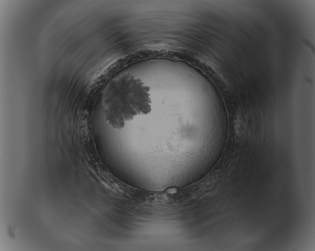 X0000103220968200809111504