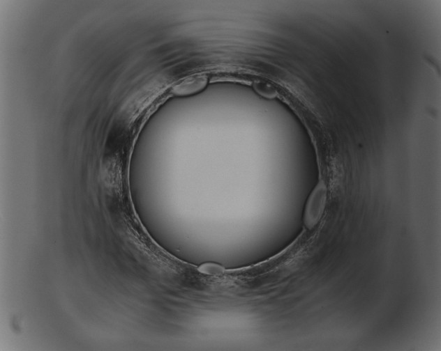 X0000103220969200809111504