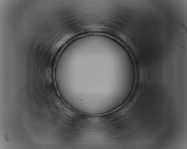 X0000103220970200809111504