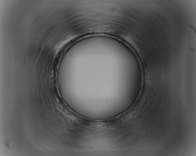 X0000103220971200809111504