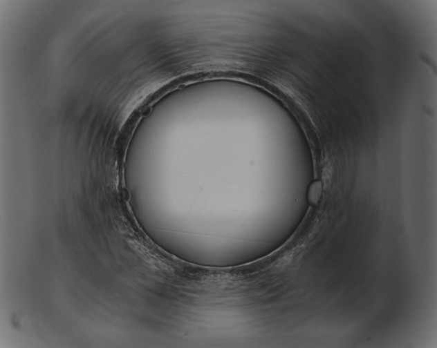 X0000103220973200809111504