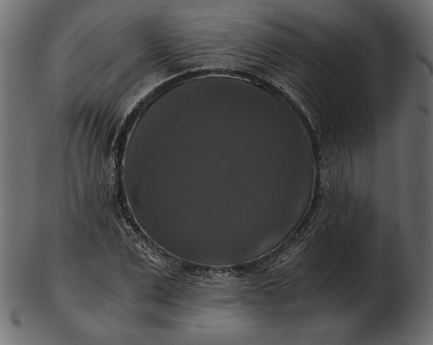 X0000103220975200809111504