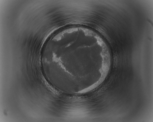 X0000103220976200809111504