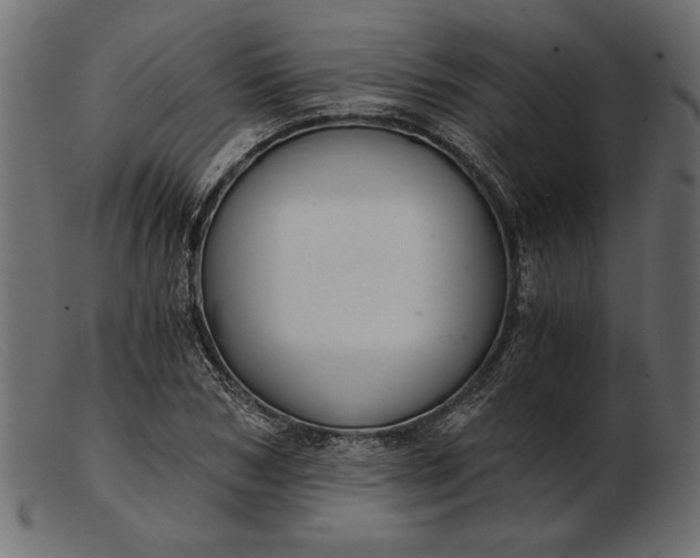 X0000103220978200809111504