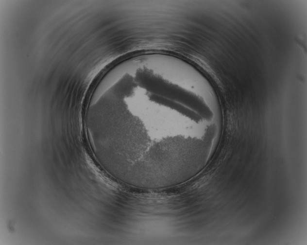 X0000103220980200809111504