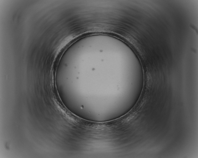 X0000103220982200809111504