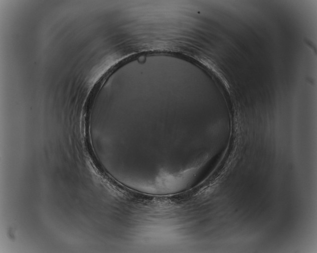 X0000103220983200809111504