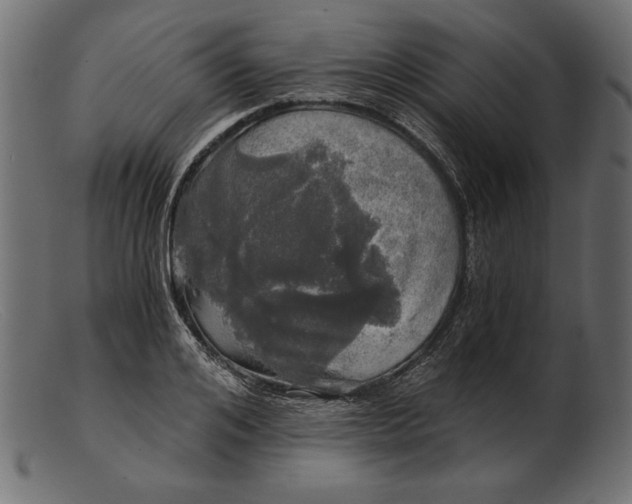 X0000103220984200809111504