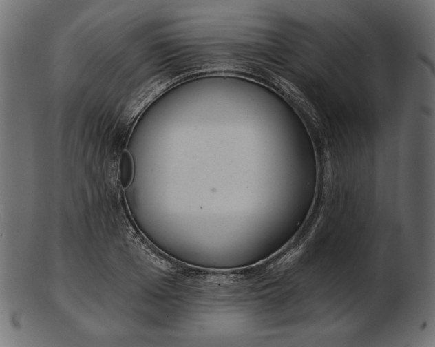 X0000103220985200809111504