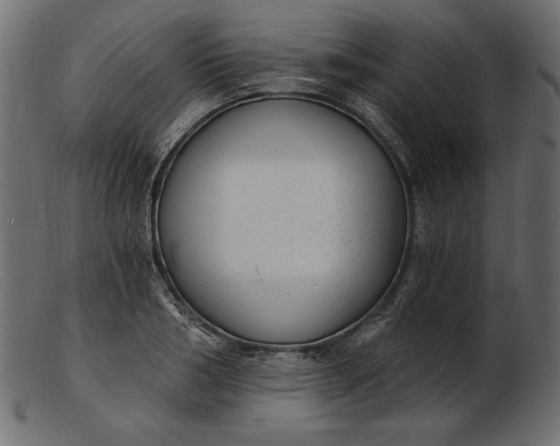 X0000103220986200809111504