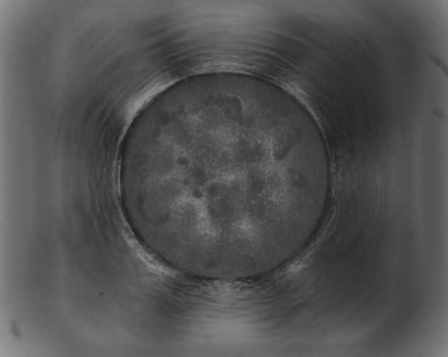 X0000103220987200809111504