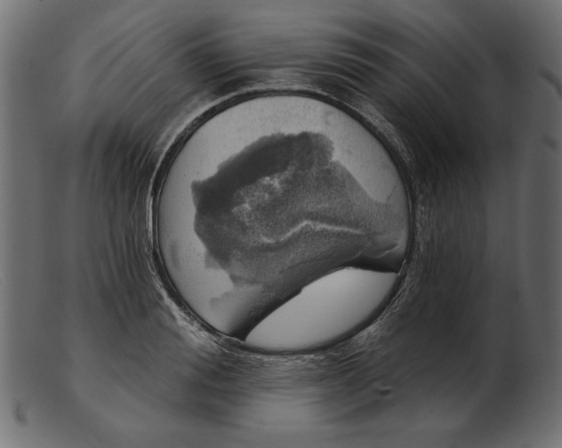 X0000103220988200809111504