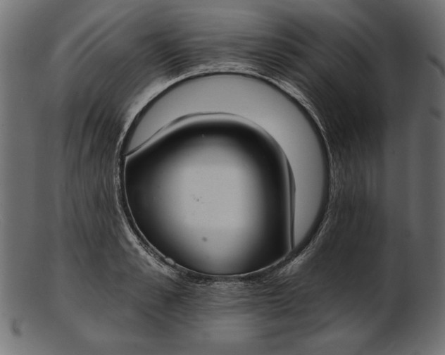 X0000103220989200809111504