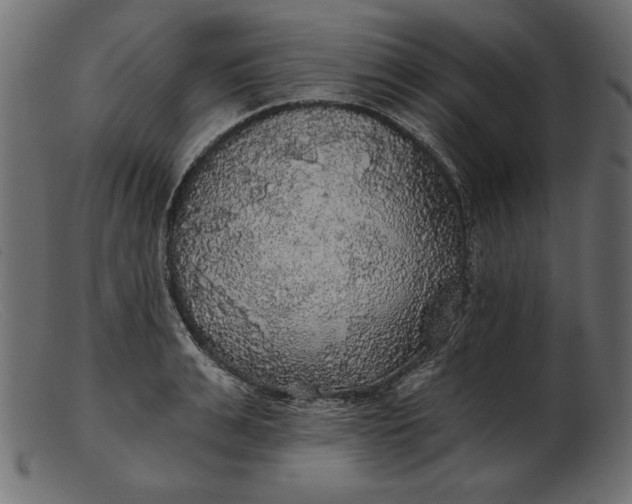 X0000103220991200809111504