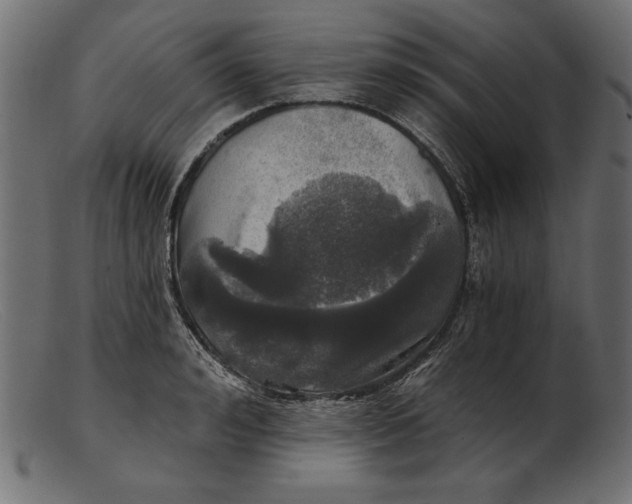 X0000103220992200809111504