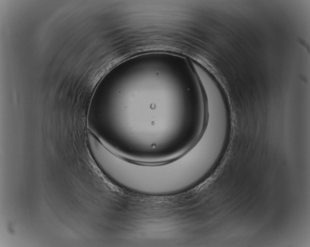 X0000103220993200809111504