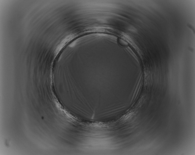 X0000103220994200809111504