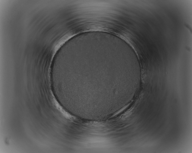 X0000103220995200809111504