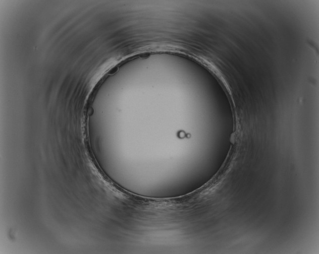 X0000103220997200809111504