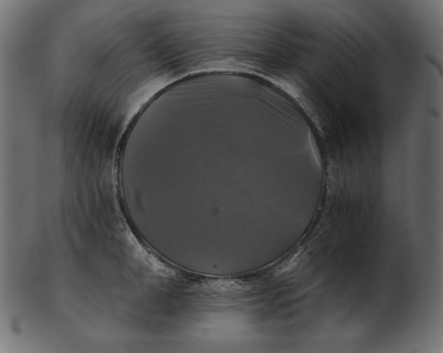 X0000103220998200809111504