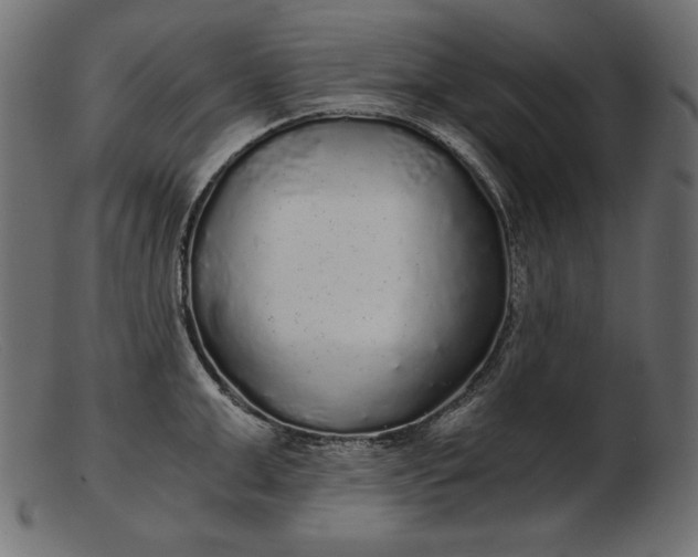 X0000103220999200809111504