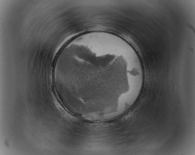 X0000103221000200809111504