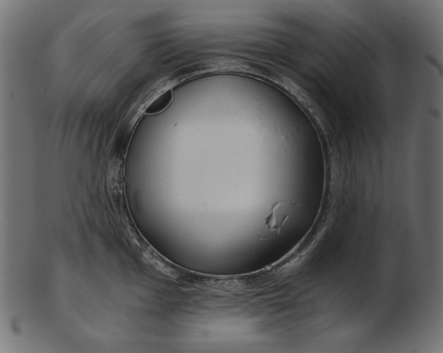 X0000103221001200809111504