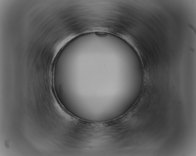 X0000103221003200809111504