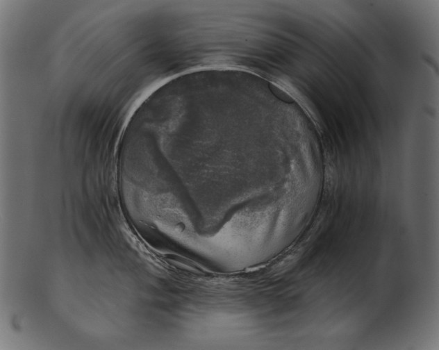 X0000103221004200809111504