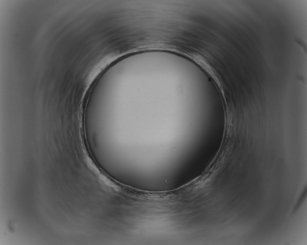 X0000103221005200809111504