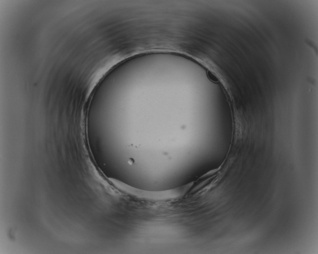 X0000103221006200809111504