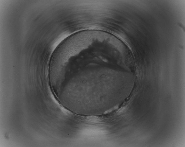 X0000103221007200809111504