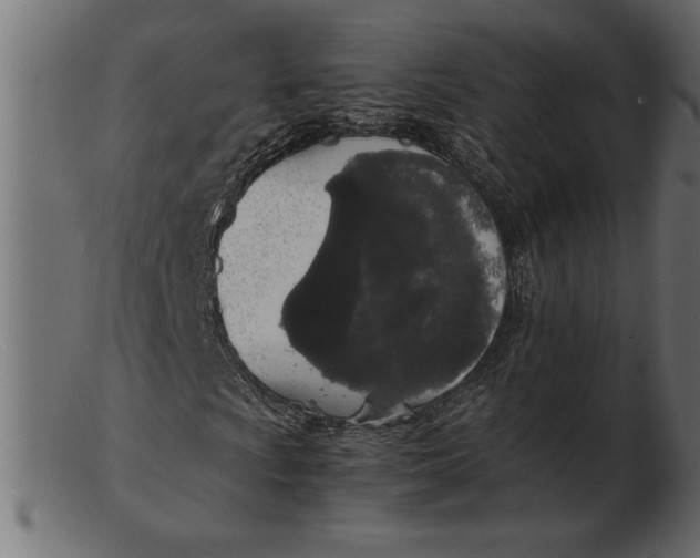 X0000103221009200809111503