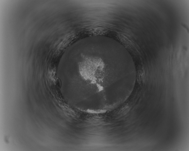 X0000103221010200809111503