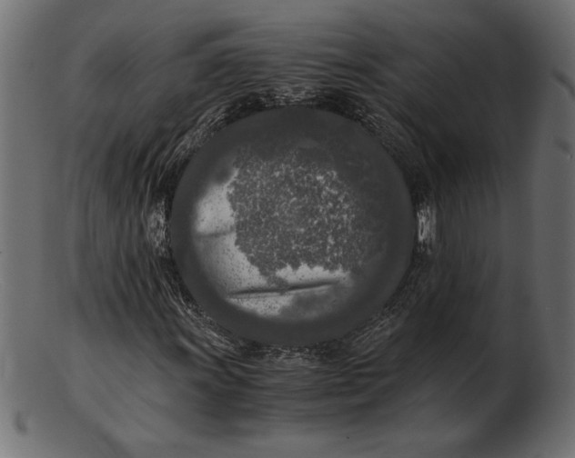 X0000103221011200809111503