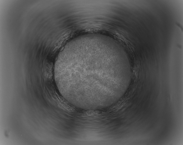 X0000103221012200809111503